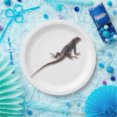 LIZARD PAPIEREN BORDJE (Feest)