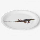 LIZARD PAPIEREN BORDJE (Gekanteld)