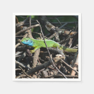 Lizard Photo Cocktail Papieren servetten