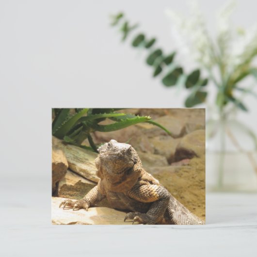 Lizard Postcrossing Briefkaart (Staand voorkant)