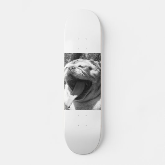 Lizard Pug Skateboard (Voorkant)