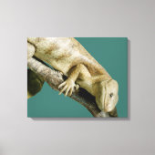 Lizard Reptile Animal Happy "happy lizard" Canvas Afdruk (Voorkant)