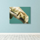Lizard Reptile Animal Happy "happy lizard" Canvas Afdruk (Insitu (Houten vloer))