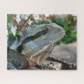 Lizard Reptile Eastern Water Dragon Legpuzzel (Horizontaal)