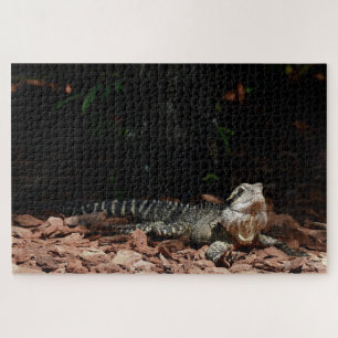 Lizard Reptile - Eastern Water Dragon Legpuzzel