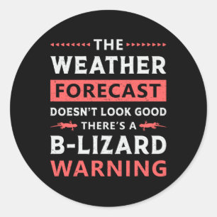 Lizard Reptile Gecko Reptiles Animal Funny Gift Ronde Sticker