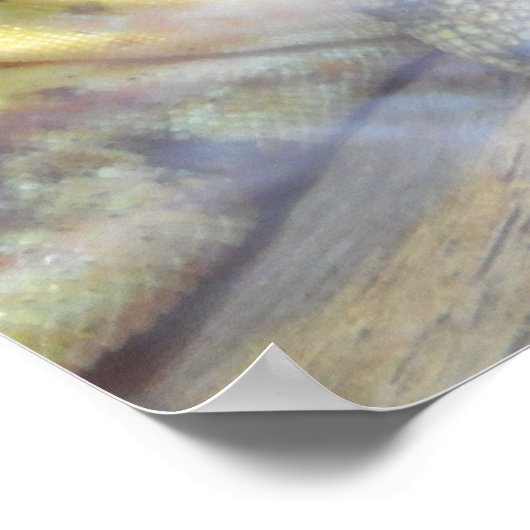 Lizard, Reptile, Iguana Natuur Wall Poster (Hoek)