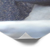 Lizard, Reptile, Kimono Dragon Natuur Wall Poster (Hoek)