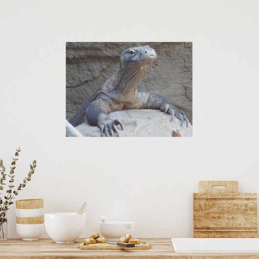 Lizard, Reptile, Kimono Dragon Natuur Wall Poster (Keuken)