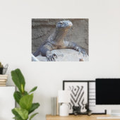 Lizard, Reptile, Kimono Dragon Natuur Wall Poster (Thuiskantoor)