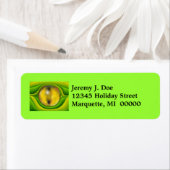 Lizard reptilian Eye reptile Retouradres Labels (Insitu)