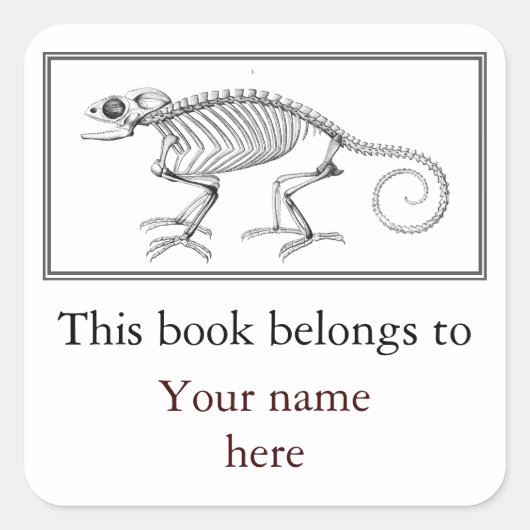  lizard skeletboekplaat vierkante sticker (Voorkant)