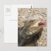Lizard Tongue Briefkaart (Voorkant / Achterkant)