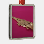 Lizard uit Colombia Metalen Ornament (Rechts)