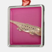 Lizard uit Colombia Metalen Ornament (Links)