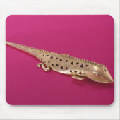 Lizard uit Colombia Muismat (Voorkant)