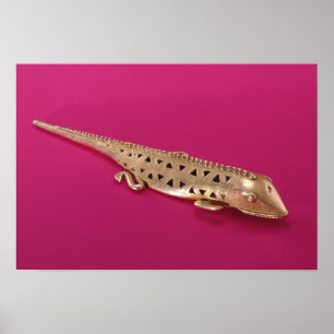 Lizard uit Colombia Poster