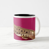 Lizard uit Colombia Tweekleurige Koffiemok (Voorkant rechts)