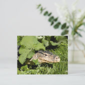 Lizard watermonitor briefkaart (Staand voorkant)