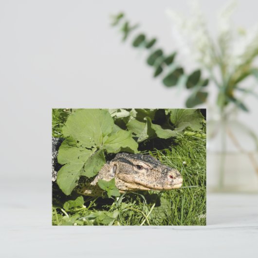 Lizard watermonitor briefkaart (Staand voorkant)