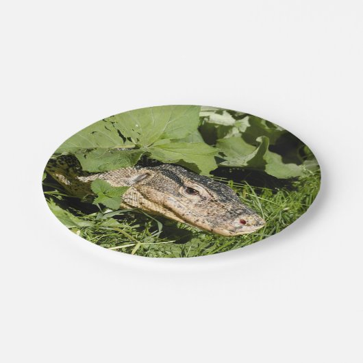 Lizard watermonitor papieren bordje (Gekanteld)