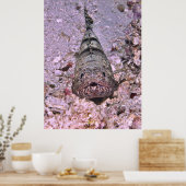 Lizardfish Portrait Poster (Keuken)