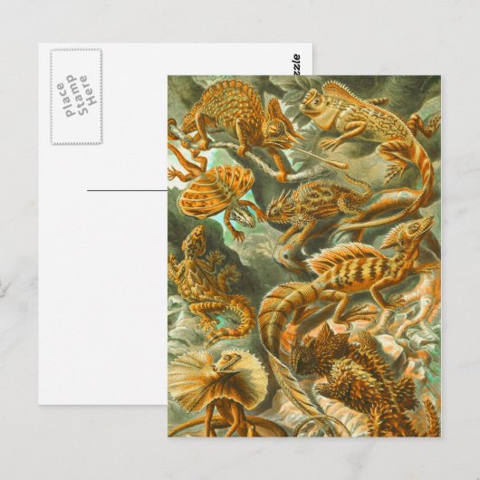 Lizards Briefkaart (Voorkant / Achterkant)