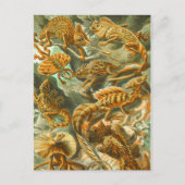Lizards Briefkaart (Voorkant)
