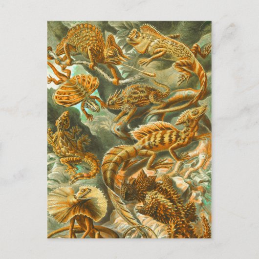 Lizards Briefkaart (Voorkant)