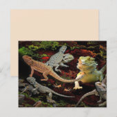 lizards galore briefkaart (Voorkant / Achterkant)