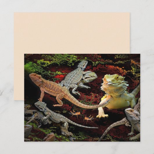 lizards galore briefkaart (Voorkant / Achterkant)