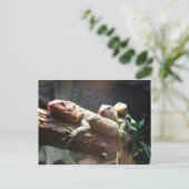 Lizards Lounging Briefkaart (Staand voorkant)