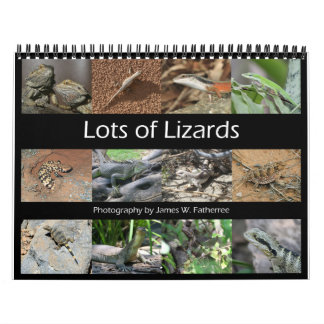 Lizards Wall Calendar van J.W. Fatherree. Kalender