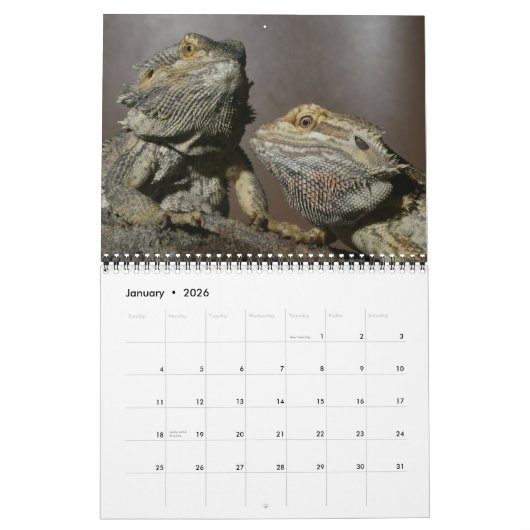 Lizards Wall Calendar van J.W. Fatherree. Kalender (Jan 2026)