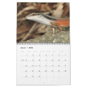 Lizards Wall Calendar van J.W. Fatherree. Kalender (Mar 2026)