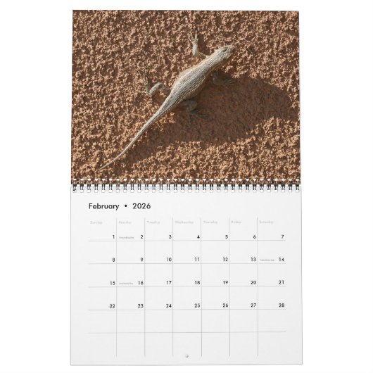 Lizards Wall Calendar van J.W. Fatherree. Kalender (Feb 2026)