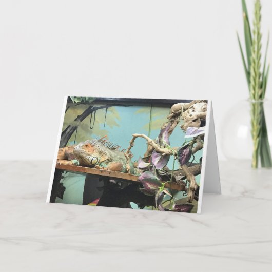 LIZARDS ZEGGEN *COUNT ME IN* OP BIEDDAG CELEBRATIN KAART (Voorkant)