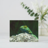 Lizz Briefkaart (Staand voorkant)