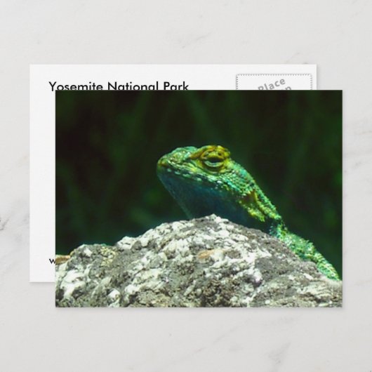 Lizz Briefkaart (Voorkant / Achterkant)