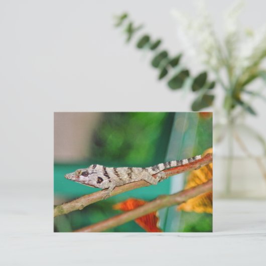 Lizzard Briefkaart (Staand voorkant)