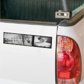 Lizzie Borden Bumpersticker (Op Truck)