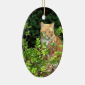 Lizzie, de kat, in de voorkant van de Yard Keramisch Ornament (Rechts)