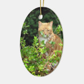 Lizzie, de kat, in de voorkant van de Yard Keramisch Ornament (Links)