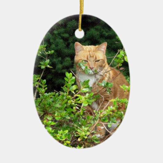 Lizzie, de kat, in de voorkant van de Yard Keramisch Ornament (Voorkant)