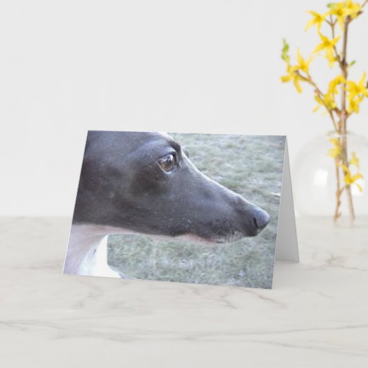 Lizzie's close-up kaart (Gele Bloem)