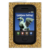 Ljubljana Calling (Voorkant)