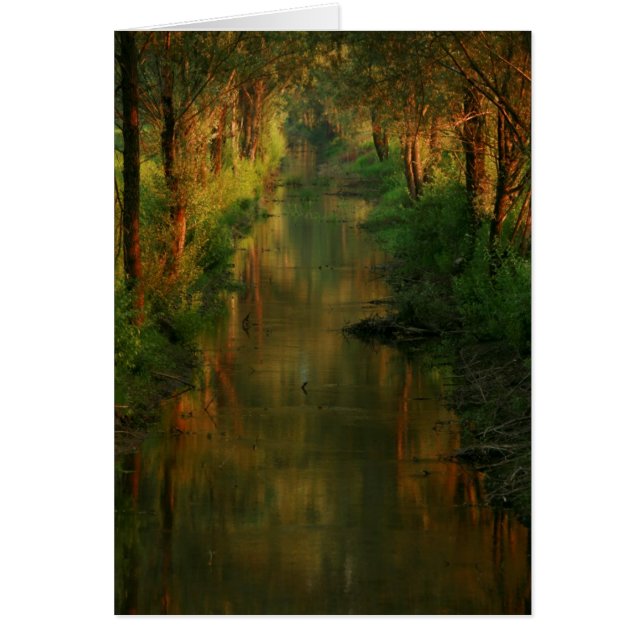 Ljubljana Moors (Voorkant)