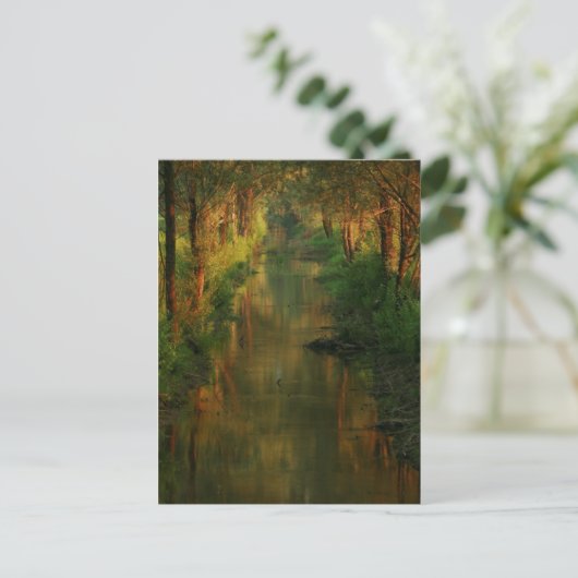 Ljubljana Moors Briefkaart (Staand voorkant)