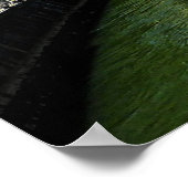 Ljubljana, Slovenië Poster (Hoek)