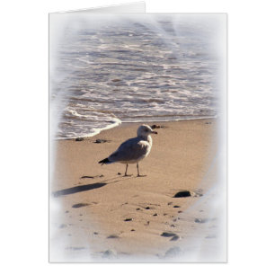 Lkes Long Walks op het strand...